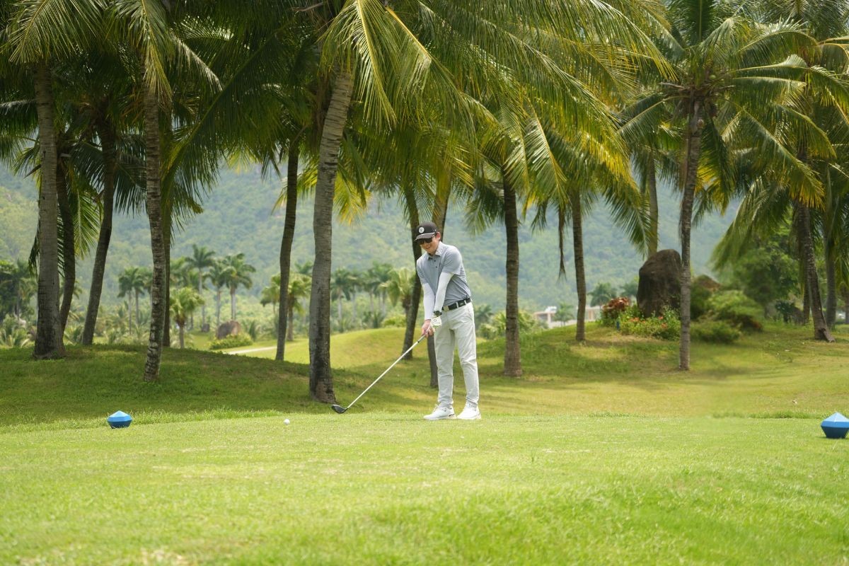 Hình ảnh - 15
